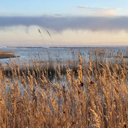 Blue Heaven * Pärnu
