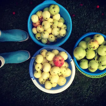 Вилла Blue Heaven