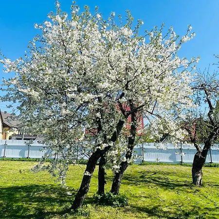 Blue Heaven Вилла Пярну