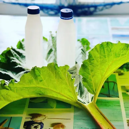 Villa Blue Heaven Pärnu