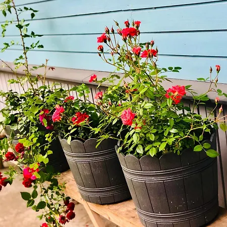 Blue Heaven * Пярну