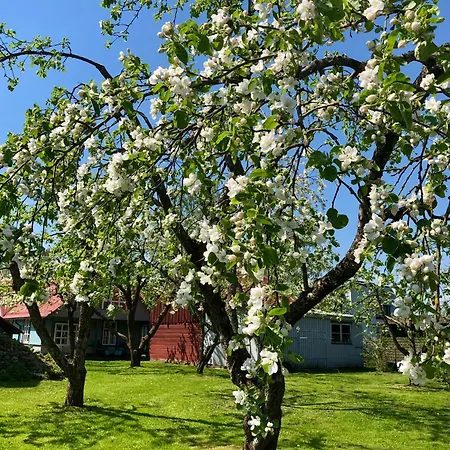 Blue Heaven Villa Pärnu