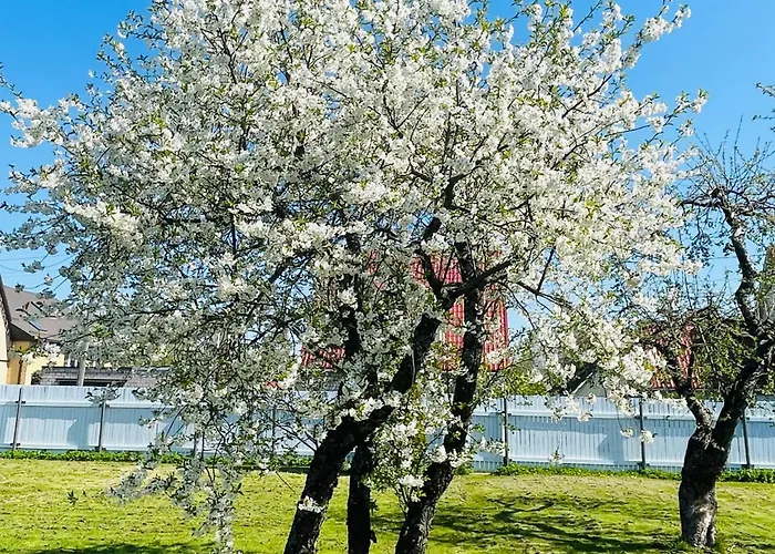 Blue Heaven Villa Parnu