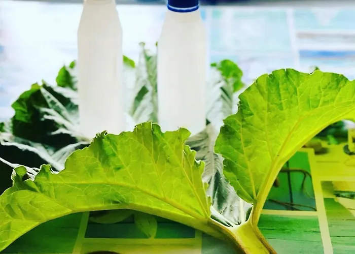 Villa Blue Heaven Parnu